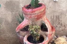 Garden Suite - Foto 50