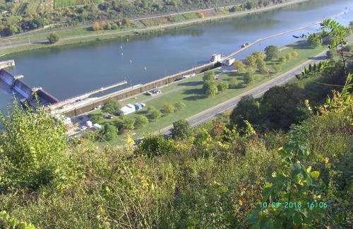 Moselblick - Foto 22