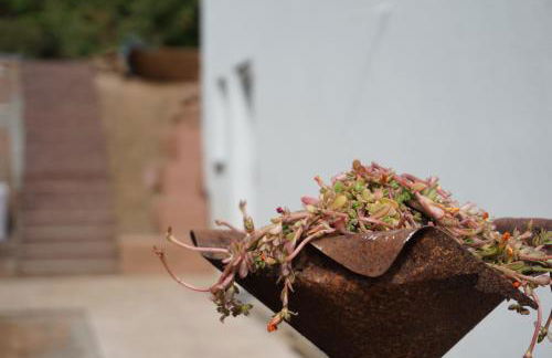 Honiggarten - Foto 17