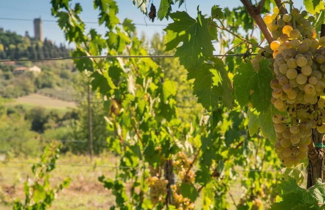 Agriturismo Il Casolare di Bucciano - Photo 40