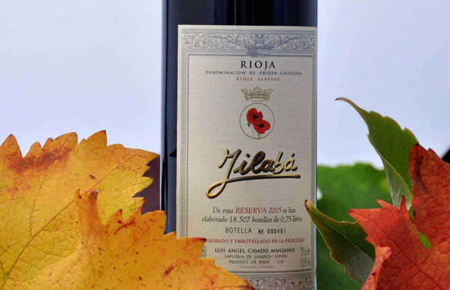 Visite du domaine viticole de Jilabá avec dégustation de vin - Photo 4