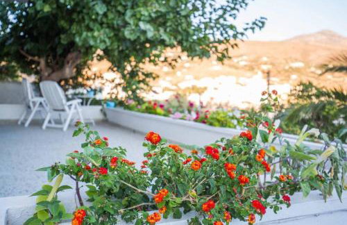 The cozy nest:) - Foto 3