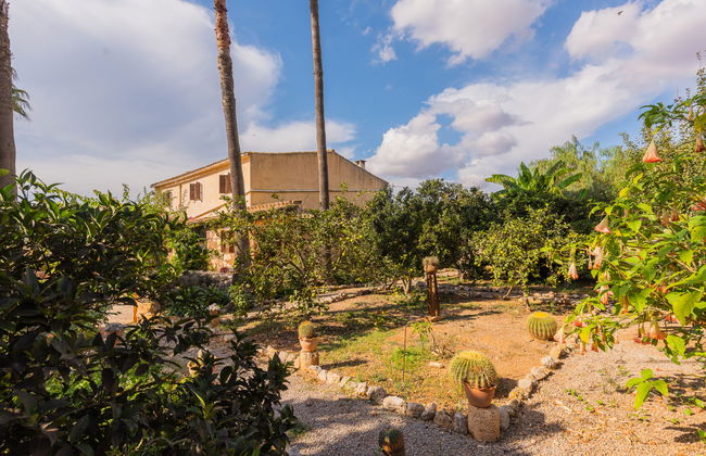 Ses Sitjoles - Foto 44