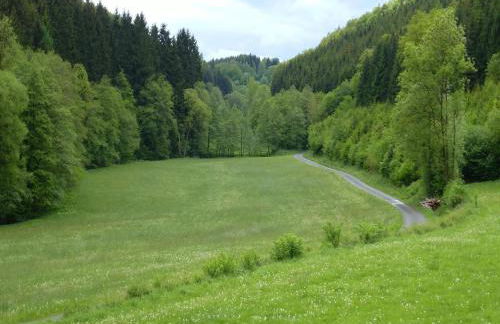 Ferienhaus Schmallenberg nahe Skibus - Foto 30