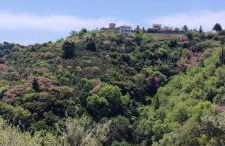 Anemomilos Villa - Photo 69