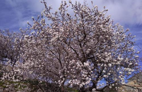 Casa delle foglie - Foto 17