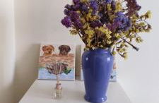 Casa da Avó Isaura - Ericeira - Foto 6