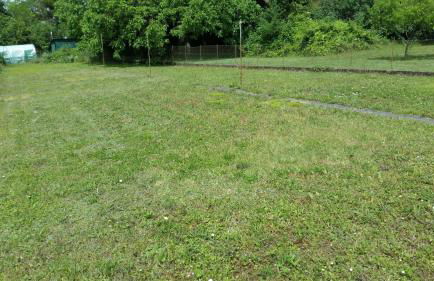 Le petit Husseau - Foto 16