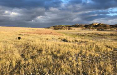 le gîte de Martine en Baie de Somme - Foto 72