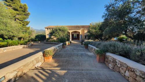 The House - Foto 4, Garden