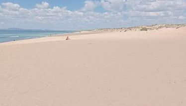 Casa Monda- Comporta - Foto 3