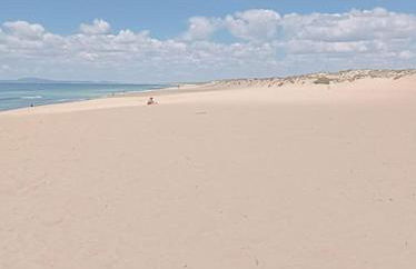 Casa Monda- Comporta - Foto 3