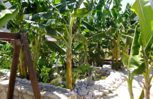 Stone Village Hotel Apartments - Foto 18