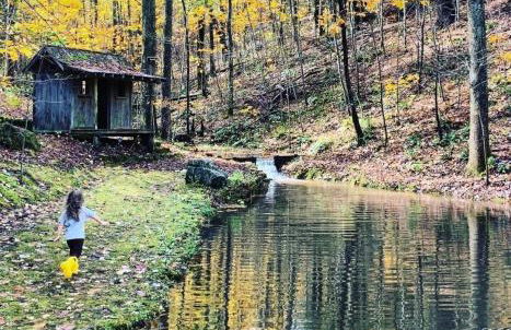 Saluda Summit Cabin at Cabin Fever - Foto 21