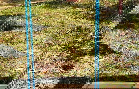 Sitio Libardo - Nova Trento - SC - Foto 43