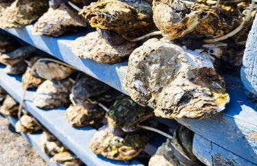 Mala Kuća - Photo 19