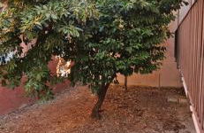 Sotto La Torre - Foto 15