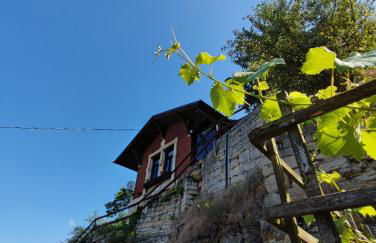 Weinberghaus - Wohnen im Weinberg in der Toskana des Nordens - Foto 19