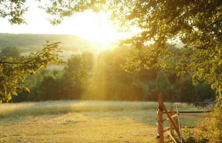 Eichenhof Kalletal - Photo 20