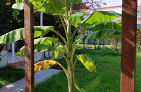 Σοφίτα Μαρτά - Foto 51