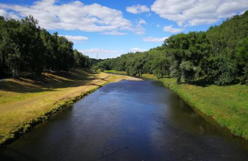 Gäste- und Ferienwohnung Gläser Zwickau - Foto 50