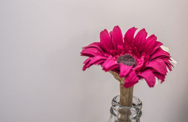 Apartamento La Bajamar - Foto 24