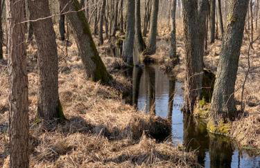 Słoneczna Zatoka - Foto 14