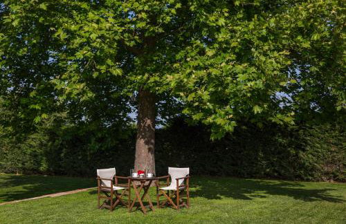 Fragos Garden Studios - Foto 15