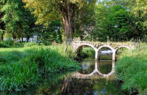 SW19 - Quiet split-level 2-bedroom maisonette with garden - Foto 14