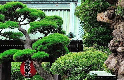 Tour in Tokyo - Photo 4