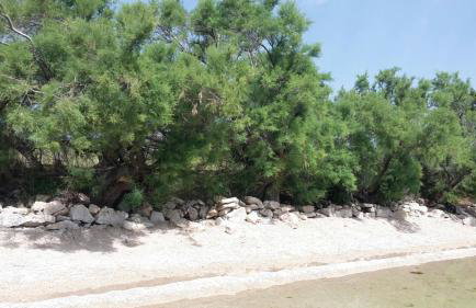 Apartmani NEVA, Pridraga - Foto 39