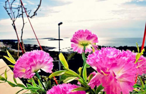 Apartments Neda - Foto 27