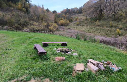 Domki Bieszczadzka Polana - Foto 48