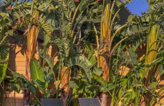 Gaia Blue Villa - Foto 25