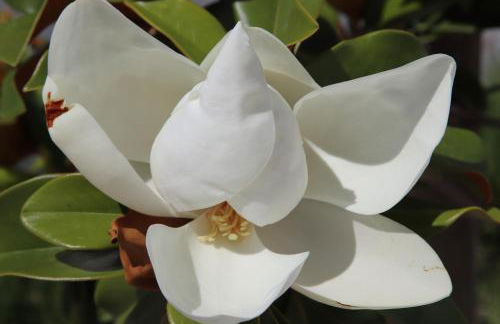 Casa da Pedra-Quinta do Briando - Foto 19