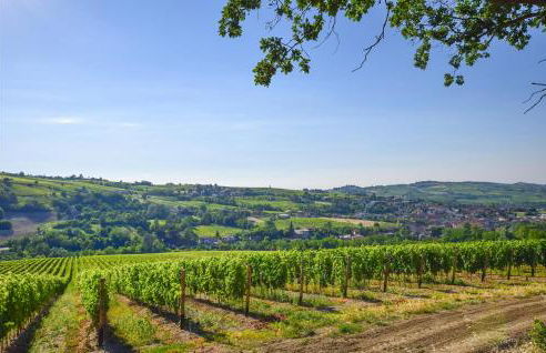 Discover Oltrepo - Foto 41