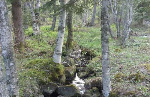 Petit Gîte Enchanté au Cœur de la Forêt du Meygal, Proche du Lac Bleu - FR-1-582-272 - Foto 9