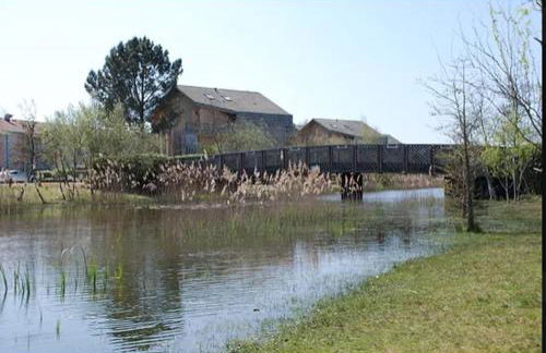 250 lake waterfront holiday apartment with garden - Foto 19