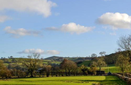 Cain Pod Vip - Foto 14