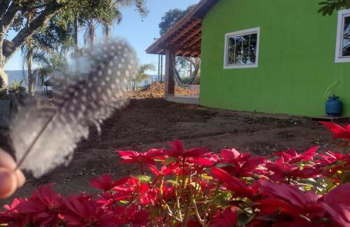 Martins - Foto 9