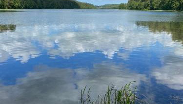 Dom na Brzozowej - Foto 5