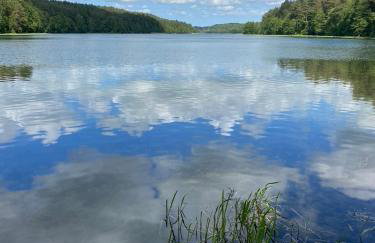 Dom na Brzozowej - Foto 5