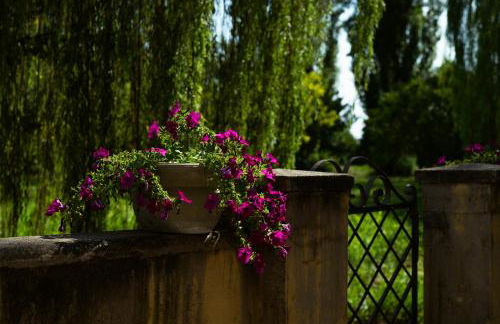 Agriturismo Villa Selvatico - Photo 101