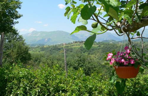 Agriturismo La Filomena - Foto 13