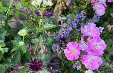 The Annexe at Fishponds - Photo 19