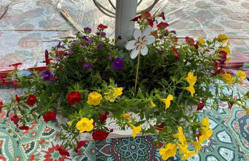 Ferienwohnung Rockenbach - Foto 38