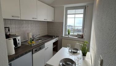 Fischer un sin Fru - Foto 4