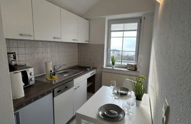 Fischer un sin Fru - Foto 4