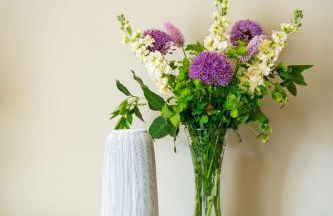 Chantry House - Foto 8