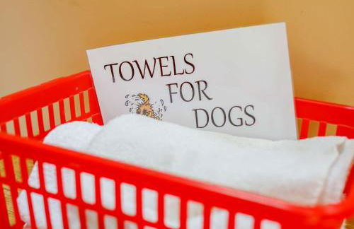 3 Bed in Beaminster 50738 - Photo 19